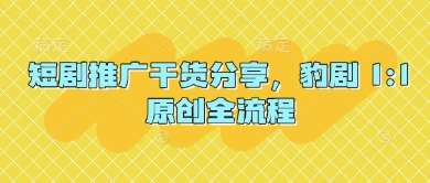 短剧推广干货分享，豹剧 1:1原创全流程-问小徐资源库