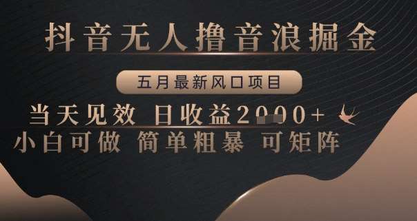 抖音无人撸音浪掘金，五月最新风口项目，当天见效，日收益多张，小白可做简单粗暴可矩阵【揭秘】-问小徐资源库