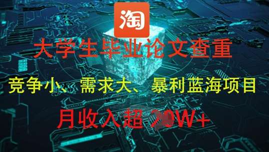 大学生毕业论文查重，暴利蓝海项目，月收入过1W+-问小徐资源库