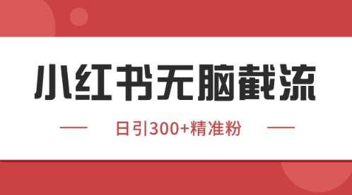 小红书只要你有同行就能获客，独家野路子获客玩法，暴力截流【揭秘】-问小徐资源库