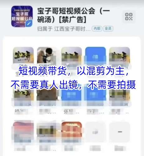 宝子哥头部团队短视频带货，以混剪为主，不需要真人出镜，不需要拍摄-问小徐资源库