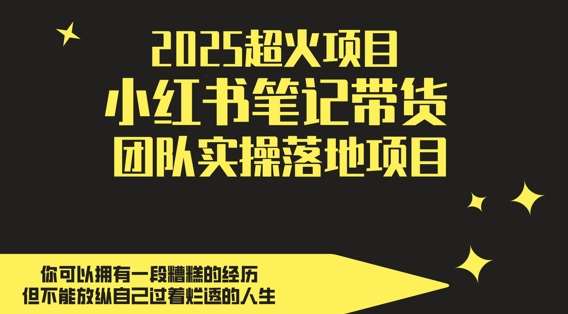2025超火项目，副业最佳选择，小红书笔记带货团队实操落地项目，，轻松日入5张-问小徐资源库
