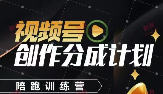 视频号创作分成计划陪跑训练营，手把手教会你如何制作视频，细水长流型项目-问小徐资源库