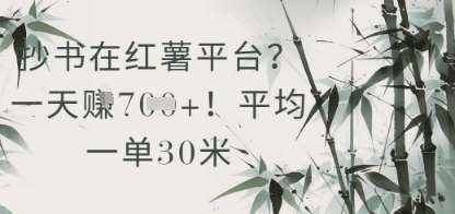 抄书在小红薯平台？平均一单30米，一天收益几张！-问小徐资源库