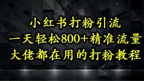 小红书打粉引流，一天轻松500+精准流量，大佬都在用的打粉教程-问小徐资源库