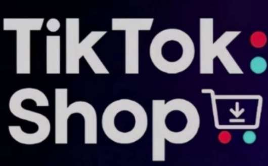 TikTokShop跨境电商0-1实战，手把手教你低成本启动海外市场（更新）-问小徐资源库