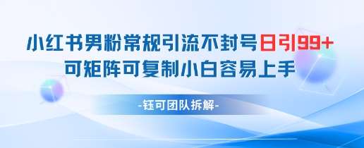 小红书男粉常规引流不封号日引99+变现简单 可矩阵可复制小白容易上手-问小徐资源库