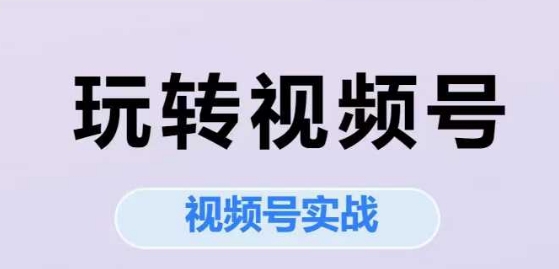 玩转视频号，视频号实战系列课-问小徐资源库