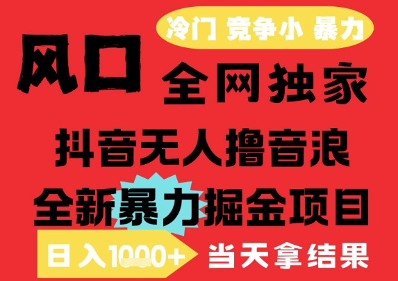 25年6月高爆抖音无人直播最新撸音浪掘金项目，解放双手小白可做，无脑日入1k+，门槛低【揭秘】-问小徐资源库
