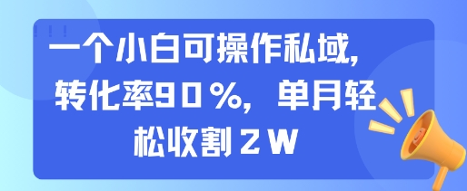 一个小白可操作私域，转化率90%，单月轻松收割2W-问小徐资源库