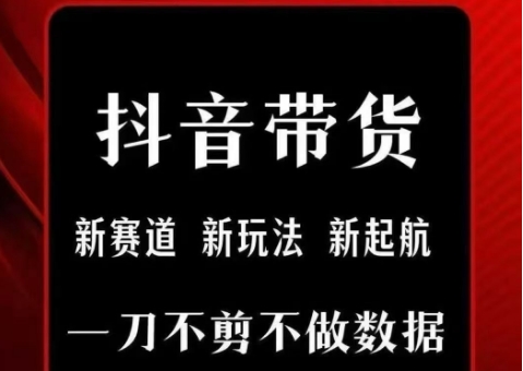 抖音短视频一刀不剪带货，不剪辑，不直播，每天发个视频，等着出单获取带货佣金-问小徐资源库