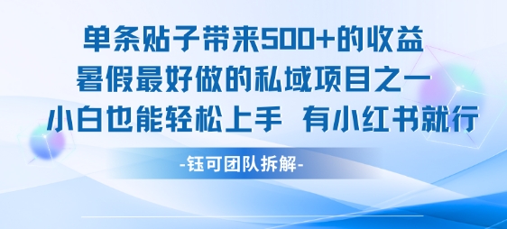 单条贴子带来5张的收益，暑假最好做的私域项目之一，小白也能轻松上手，有小红书就行-问小徐资源库