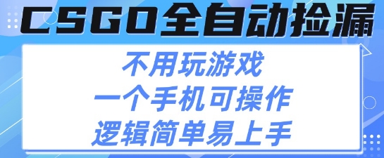 CSGO自动捡漏项目，最新独家玩法，不用挂G不用玩游戏，一个手机即可操作，新手小白轻松月入1W+【揭秘】-问小徐资源库