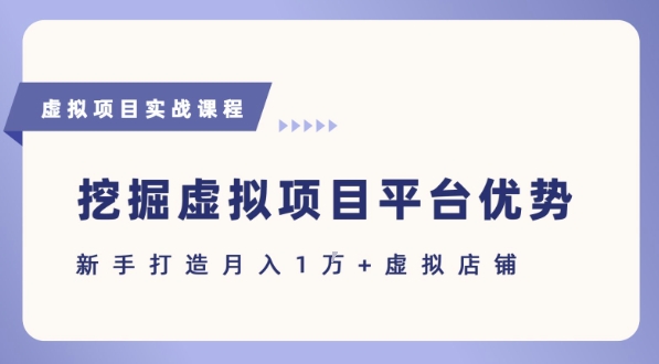抓住虚拟项目各平台优势，新手轻松月入1W+(给出具体建议)-问小徐资源库