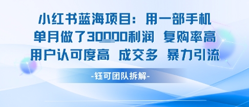 小红书蓝海项目，一部手机单月做了3W利润，小白也能月入过1W用户认可度高成交多-问小徐资源库