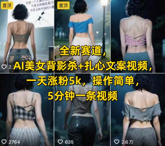 全新赛道，AI美女背影杀+扎心文案视频，一天涨粉5k，操作简单，5分钟一条视频-问小徐资源库