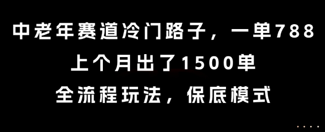 中老年赛道冷门路子，一单788，上个月出了1500单，全流程玩法，保底模式【揭秘】-问小徐资源库
