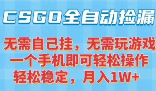CSGO自动捡漏项目，最新独家玩法，一个手机可操作，新手小白轻松月入1W+，操作简单易上手【揭秘】-问小徐资源库