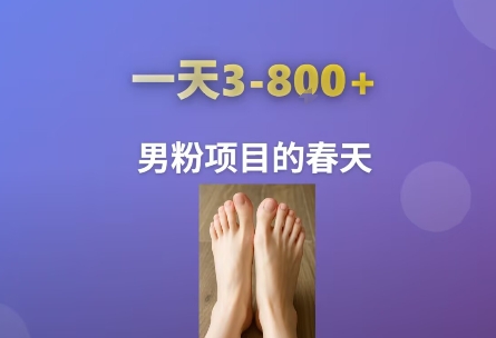 AI一键生成美女素材，一天收益3-8张，男粉项目的春天-问小徐资源库