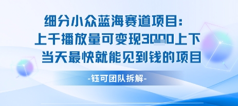 小众蓝海赛道项目：当天变现1k+适合新手操作 +适合长期玩-问小徐资源库