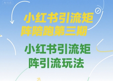 小红书引流矩阵陪跑第三期，小红书引流矩阵引流玩法-问小徐资源库