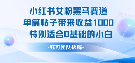 小红书女粉黑马赛道单篇帖子带来收益1k+，特别适合0基础的小白-问小徐资源库