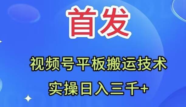 （7843期）全网首发：视频号平板搬运技术，实操日入三千＋-问小徐资源库