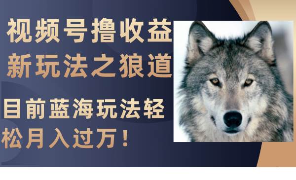 （8042期）视频号撸收益新玩法之狼道，目前蓝海玩法轻松月入过万！-问小徐资源库