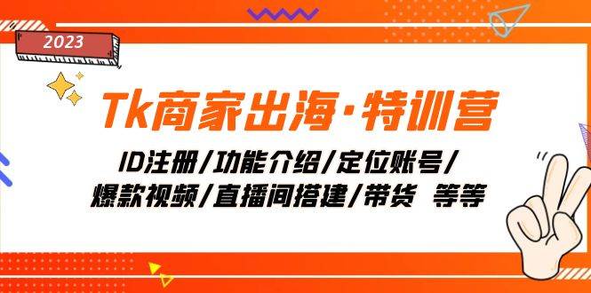 （7974期）Tk商家出海·特训营：ID注册/功能介绍/定位账号/爆款视频/直播间搭建/带货.-问小徐资源库