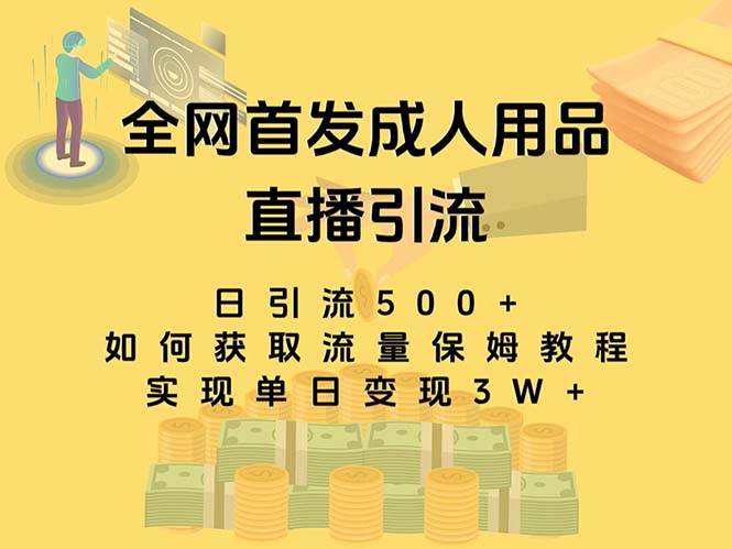 （8193期）最新全网独创首发，成人用品直播引流获客暴力玩法，单日变现3w保姆级教程-问小徐资源库