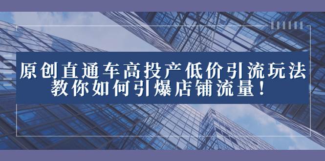 （8197期）2023直通车高投产低价引流玩法，教你如何引爆店铺流量！-问小徐资源库