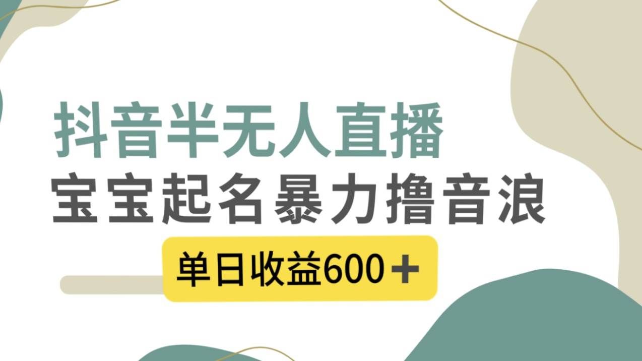 （8192期）抖音半无人直播，宝宝起名，暴力撸音浪，单日收益600+-问小徐资源库