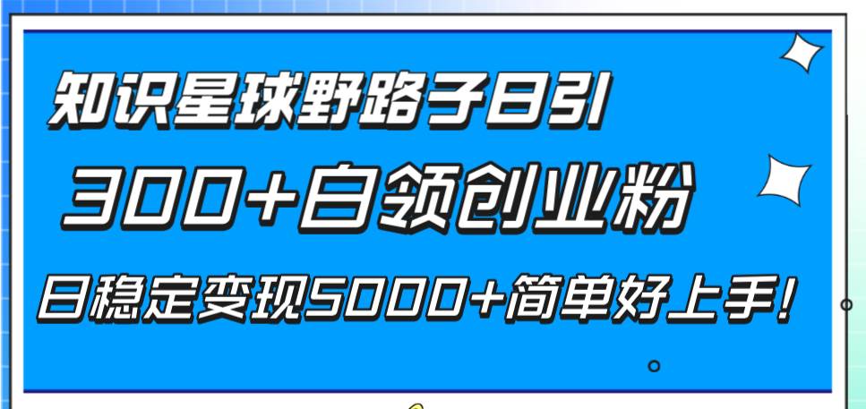 （8315期）知识星球野路子日引300+白领创业粉，日稳定变现5000+简单好上手！-问小徐资源库