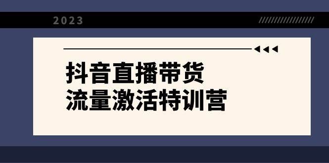 （8185期）抖音直播带货-流量激活特训营，入行新手小白主播必学（21节课+资料）-问小徐资源库
