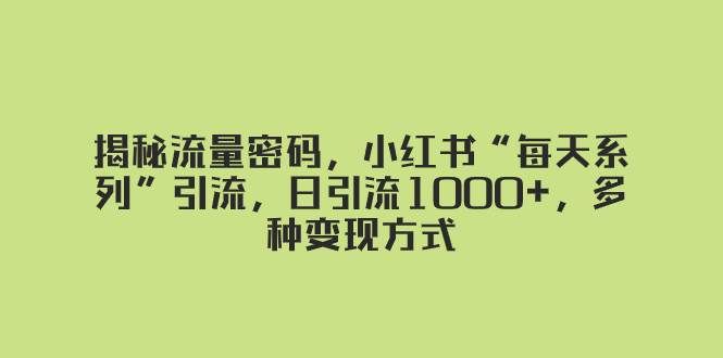 （8179期）揭秘流量密码，小红书“每天系列”引流，日引流1000+，多种变现方式-问小徐资源库
