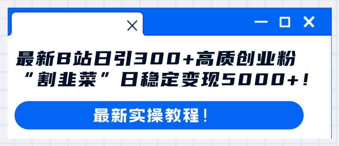 （8216期）最新B站日引300+高质创业粉教程！“割韭菜”日稳定变现5000+！-问小徐资源库