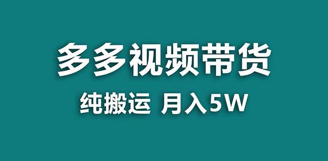 （8491期）【蓝海项目】拼多多视频带货 纯搬运一个月搞了5w佣金，小白也能操作 送工具-问小徐资源库