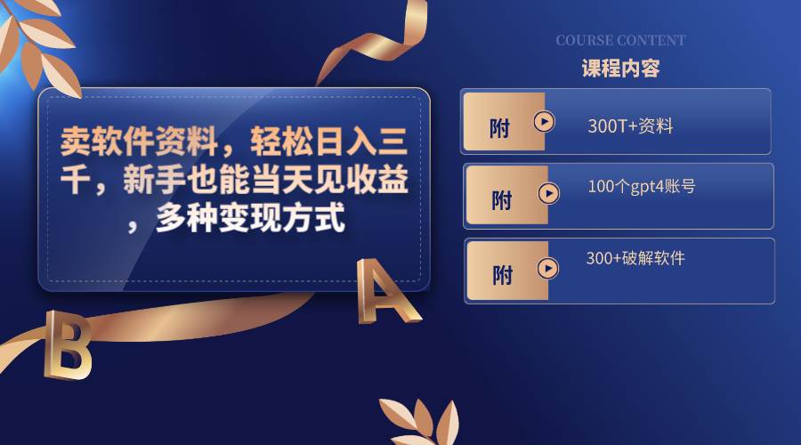 （8582期）卖软件资料，轻松日入三千，新手也能当天见收益，多种变现方式，（附300…-问小徐资源库