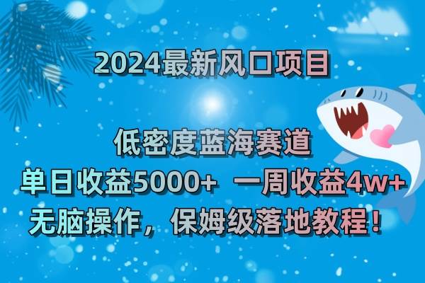 （8545期）2024最新风口项目 低密度蓝海赛道，日收益5000+周收益4w+ 无脑操作，保…-问小徐资源库
