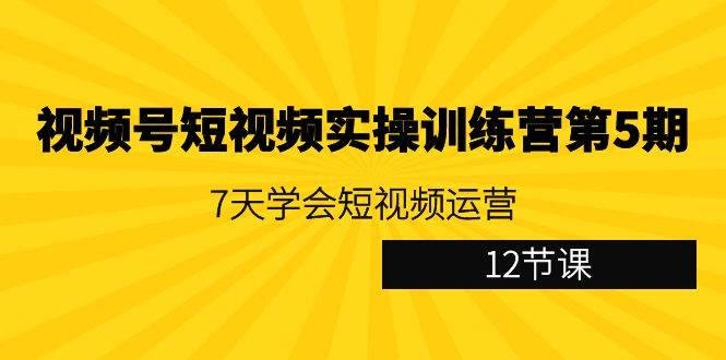 （9029期）视频号短视频实操训练营第5期：7天学会短视频运营（12节课）-问小徐资源库