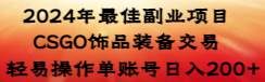 （8941期）2024年最佳副业项目 CSGO饰品装备交易 轻易操作单账号日入200+-问小徐资源库