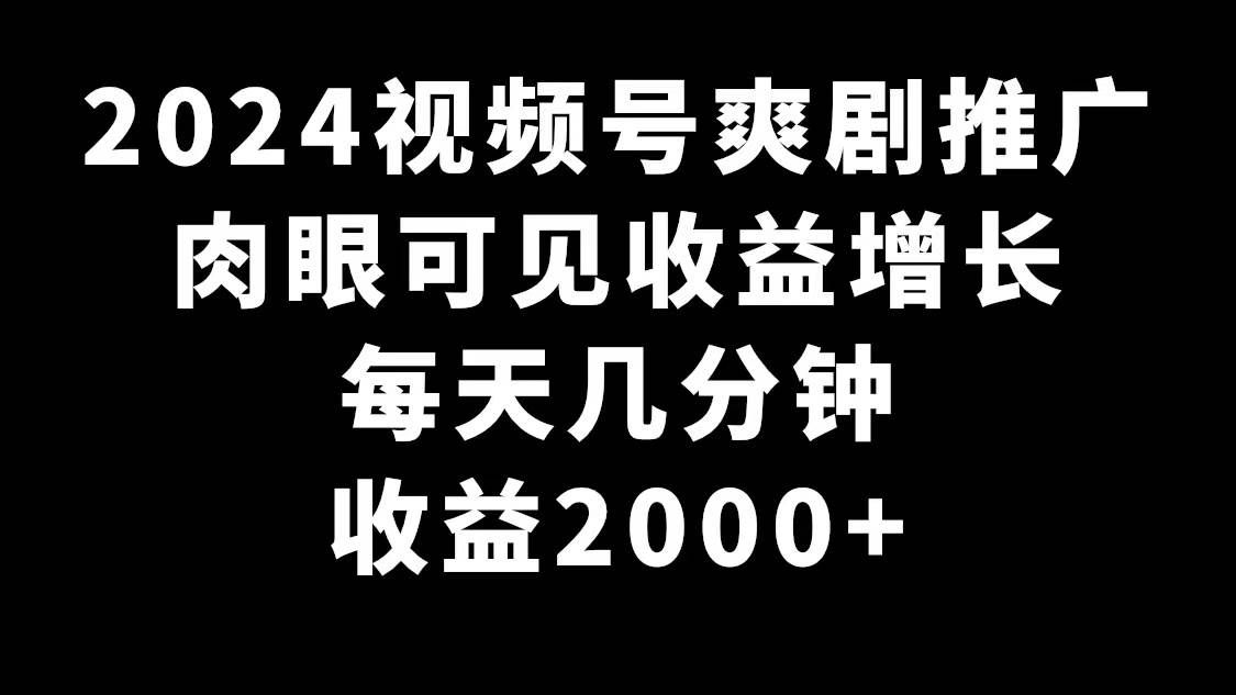 （9028期）2024视频号爽剧推广，肉眼可见的收益增长，每天几分钟收益2000+-问小徐资源库