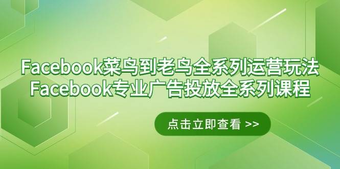 （9064期）Facebook-菜鸟到老鸟全系列运营玩法+Facebook-专业广告投放全系列课程-问小徐资源库