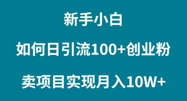 （9556期）新手小白如何通过卖项目实现月入10W+-问小徐资源库