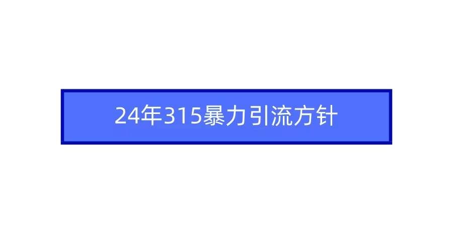 （9398期）2024年315暴力引流方针-问小徐资源库