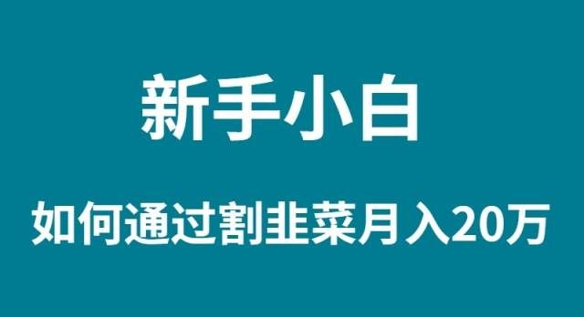 （9308期）新手小白如何通过割韭菜月入 20W-问小徐资源库