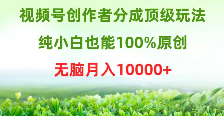 （9608期）视频号创作者分成顶级玩法，纯小白也能100%原创，无脑月入10000+-问小徐资源库