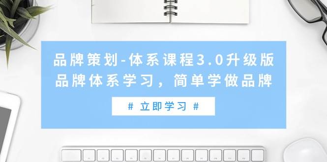 （9284期）品牌策划-体系课程3.0升级版，品牌体系学习，简单学做品牌（高清无水印）-问小徐资源库