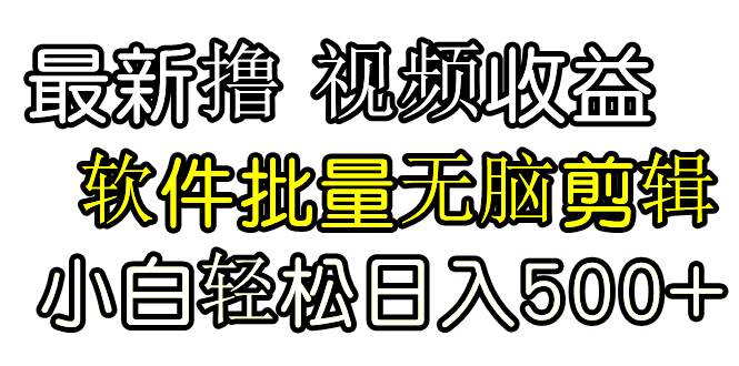 （9569期）发视频撸收益，软件无脑批量剪辑，第一天发第二天就有钱-问小徐资源库