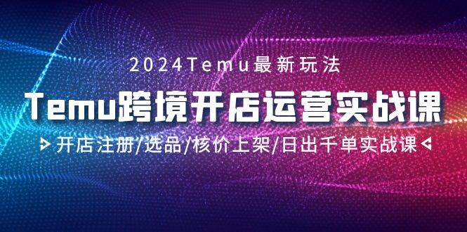 （9208期）2024Temu跨境开店运营实战课，开店注册/选品/核价上架/日出千单实战课-问小徐资源库